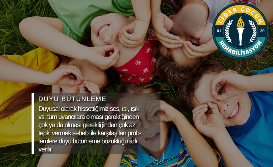 Duyu Bütünleme